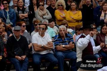 II Festival Tajea y Torna 7 Islas en Los Llanos de Telde (Francisco Javier Santana)